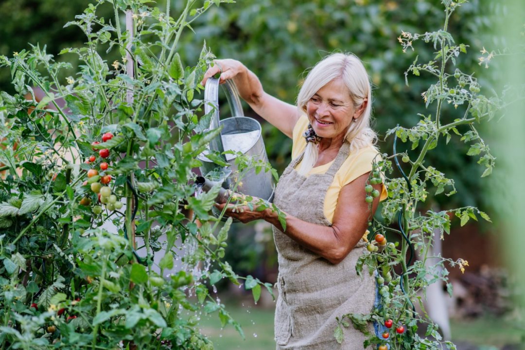 5 tipů pro úspěšné pěstování ovoce a zeleniny