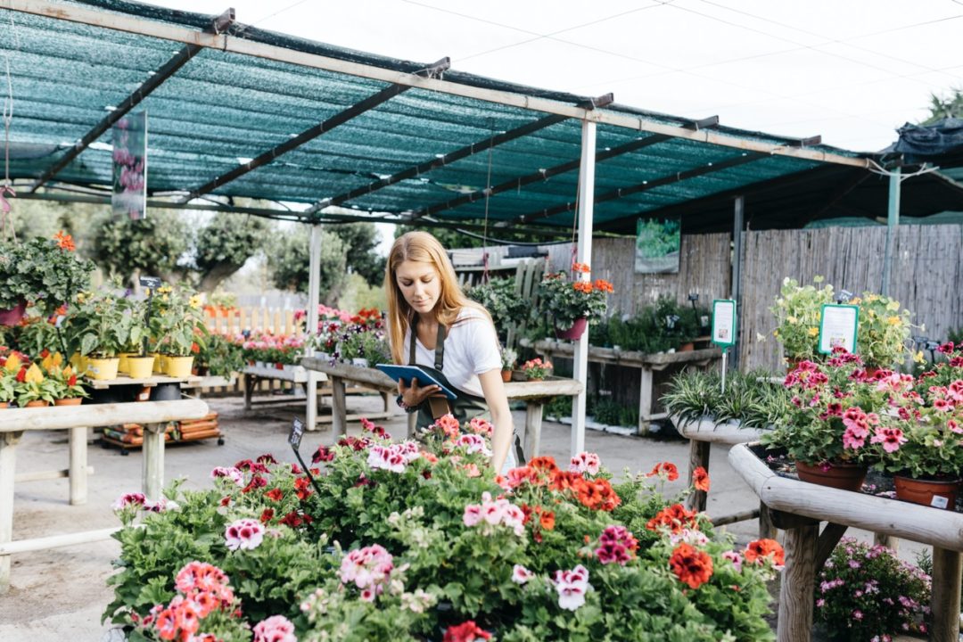 rostliny pro zahradničení na balkoně
