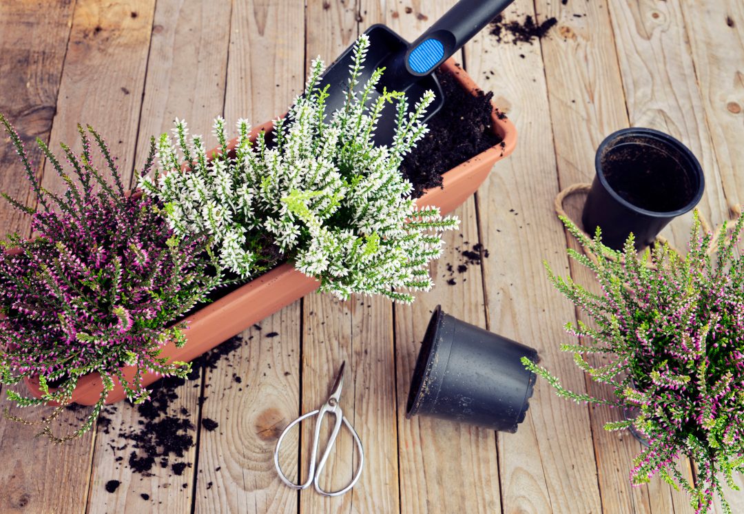 nádoby pro zahradničení na balkoně